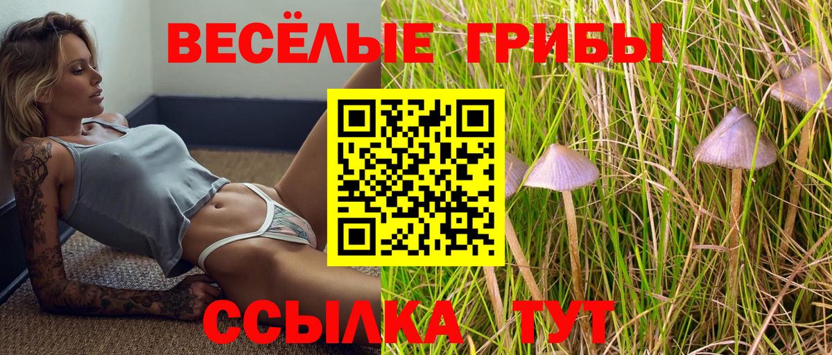 Новоалександровск  Галлюциногенные грибы прущие грибы  Вход с VPN 
